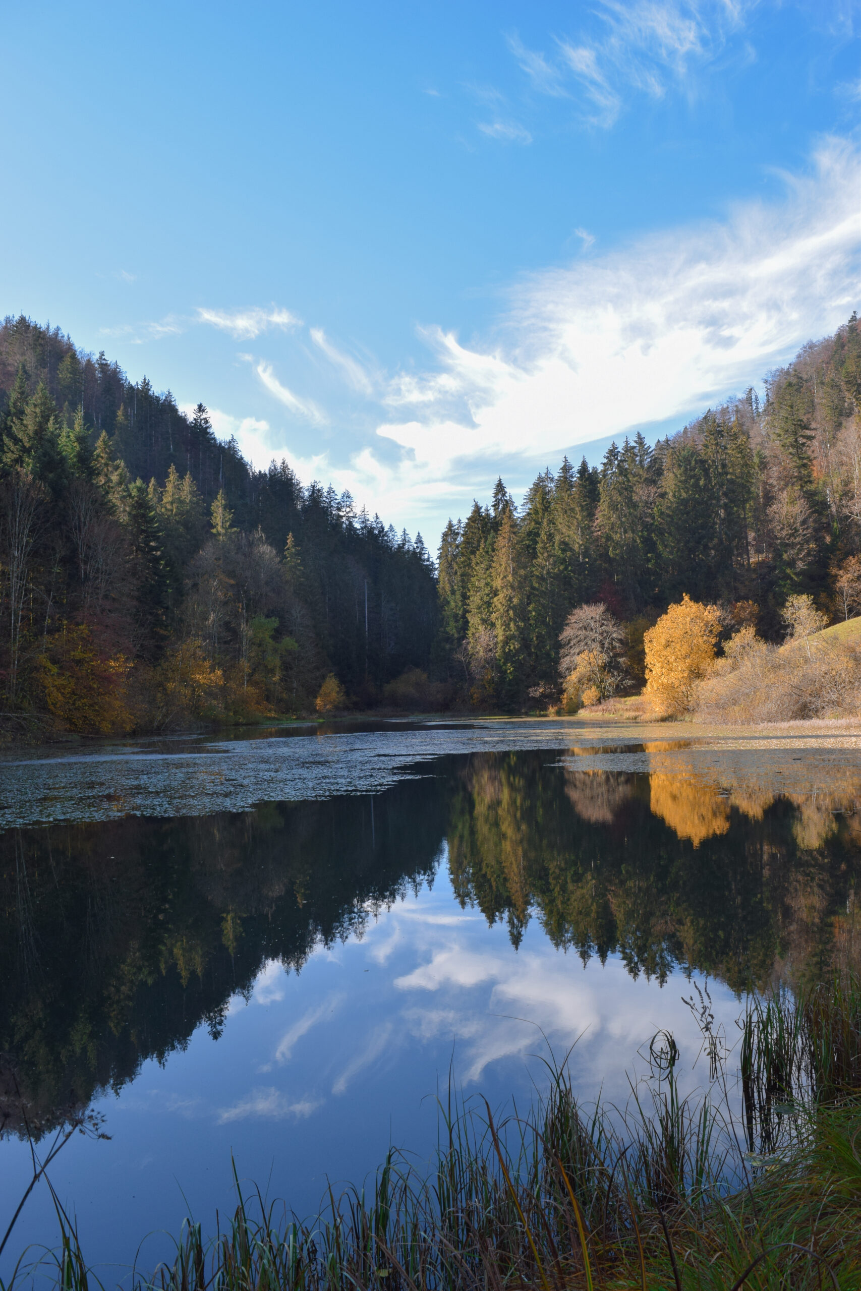 Etang de Bollement, Franches-Montagnes, Jura, Suisse