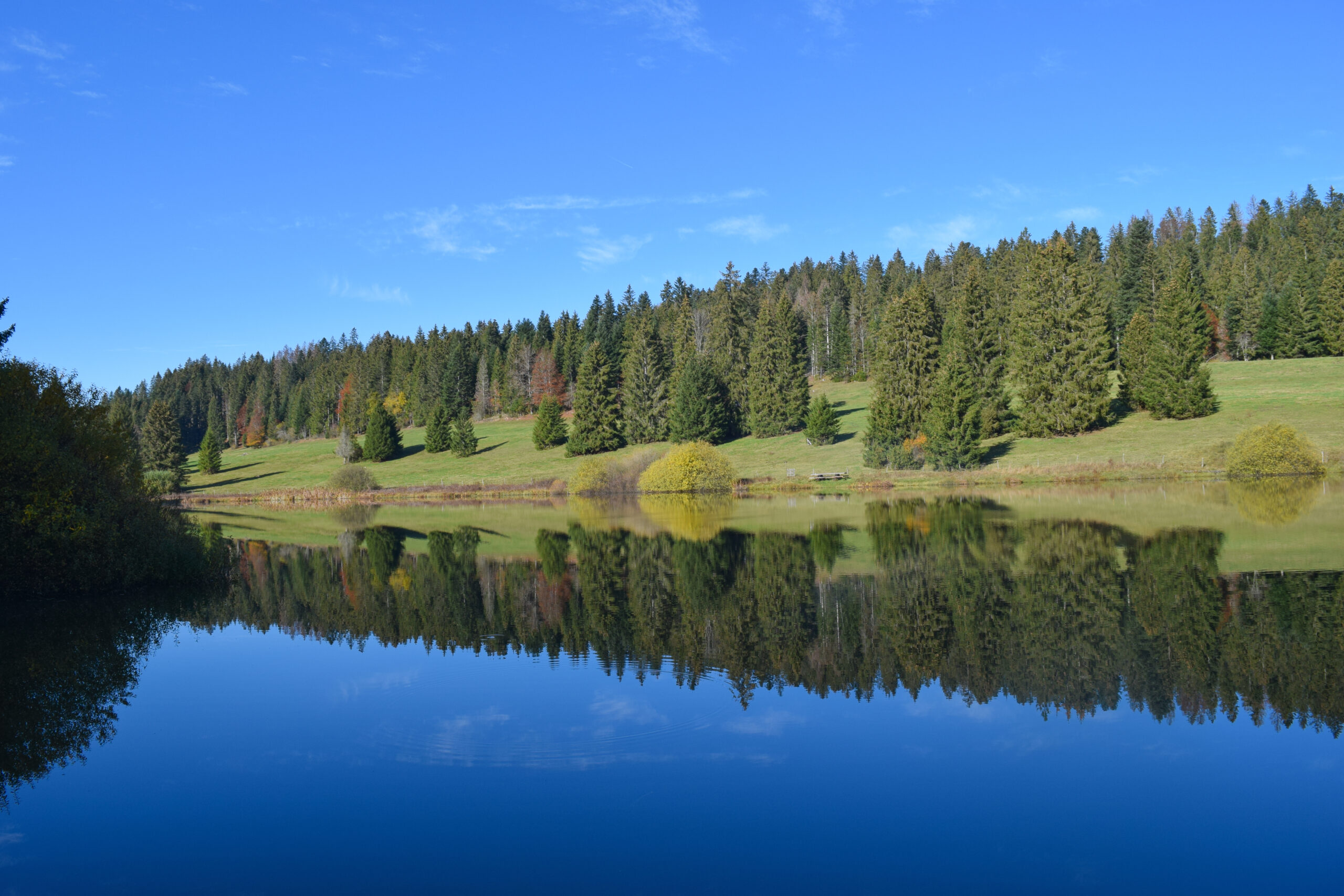 Etang de Plain de Saigne, Pré-Petitjean, Jura, Suisse