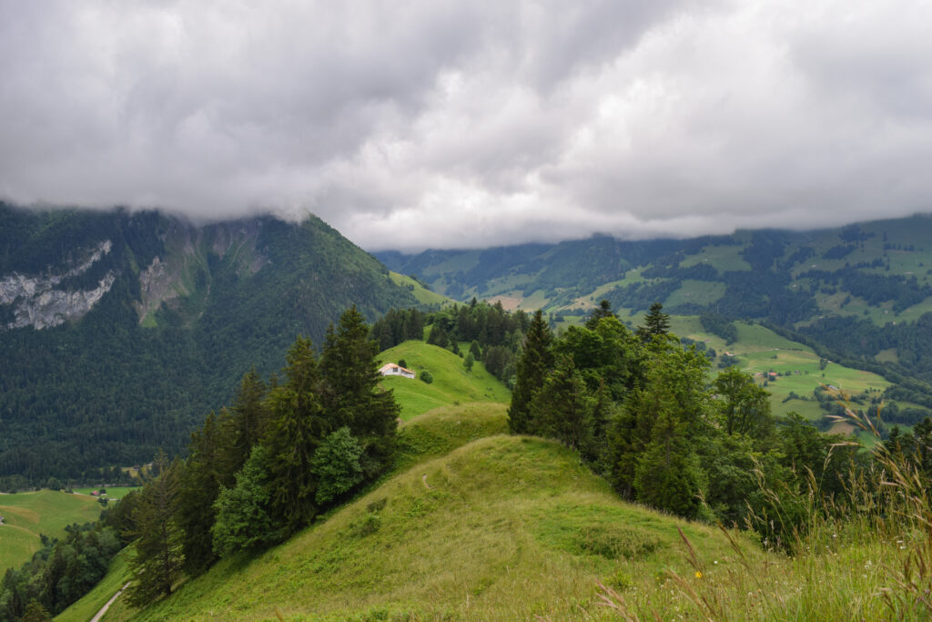 Vue sur un alpage, lors de la montée à la Brâ