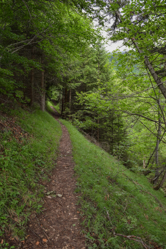 Sentier entre la croix et la Brâ