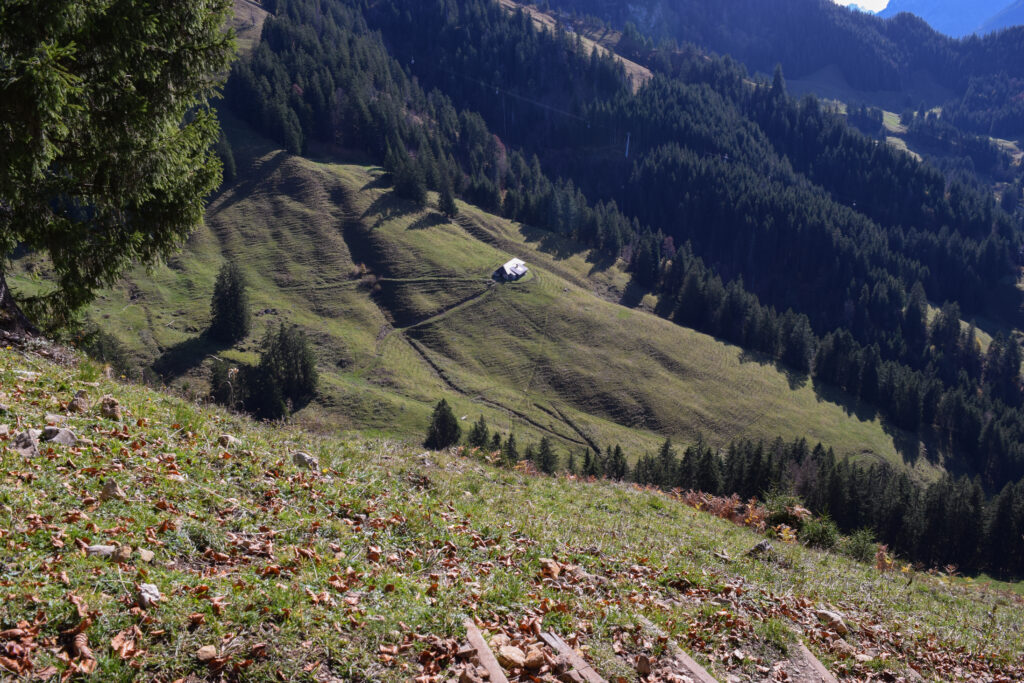 Vue sur la Combe en dessous de Vounetse