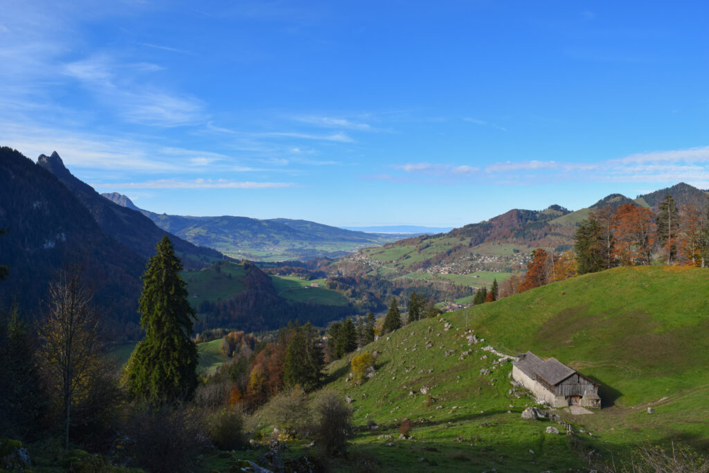 Vue sur les alpages durant la montée à Vounetse