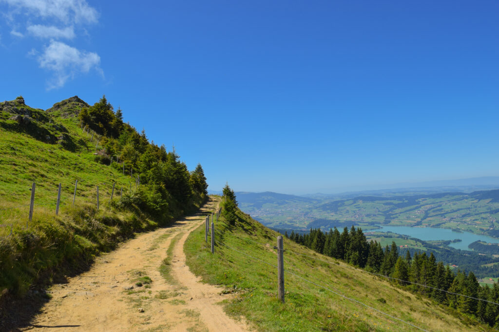 Vue sur le lac de Gruyère depuis le sentier entre Le Cousimbert et La Berra